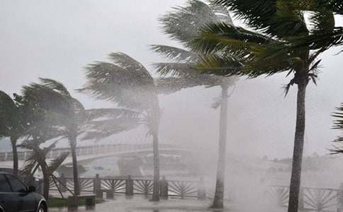 �_(t��i)�L(f��ng)��(y��u)������