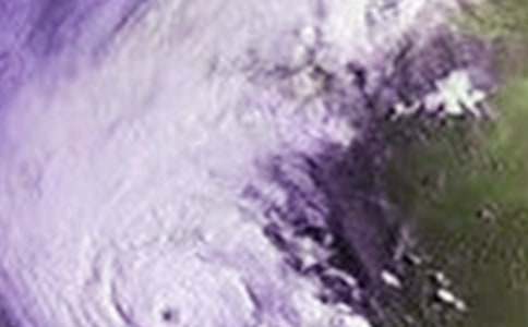 關(guān)于臺風(fēng)的作文八則