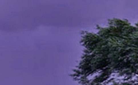 臺風(fēng)800字作文(通用30篇)