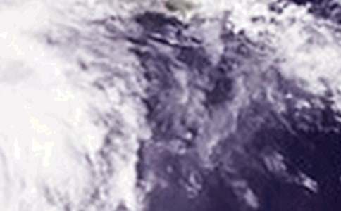 無(wú)情的臺(tái)風(fēng)初中作文