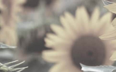 ��̫ꖻ��ǘ���������