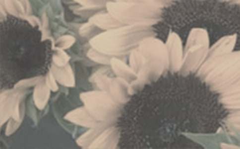 ����̫ꖻ�-�ز�����