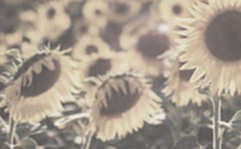 �^��̫ꖻ�����3ƪ