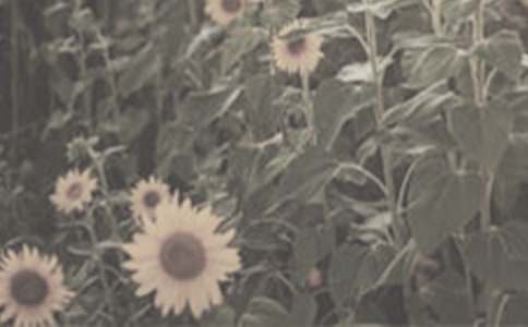 ̫ꖻ����Ѓ�(y��u)������