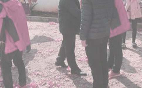 澳洲探親旅游之五袋鼠與樹熊散文