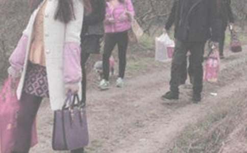 內(nèi)地探親記作文400字