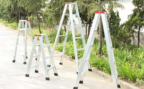 《梯子》閱讀答案(精選2套)