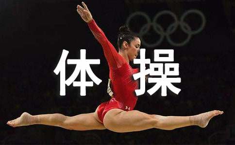 體操比賽作文500字 生命在于運(yùn)動(dòng)