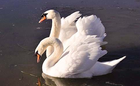 �����c���Z��ͯԒ����