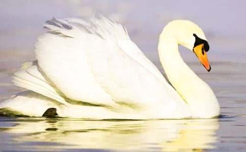 һ��ؼҸľ���Ұ���ZͯԒ����