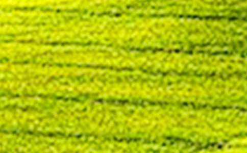 田野作文300字七篇