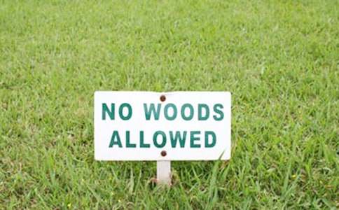 2017���ռӏ������t(y��)���l(w��i)���C��(g��u)�˲���齨�O(sh��)ͨ��