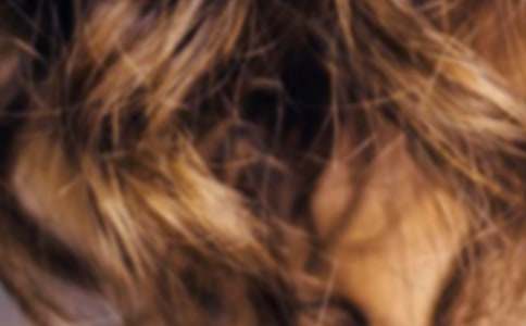 父親的頭發(fā)作文合集5篇