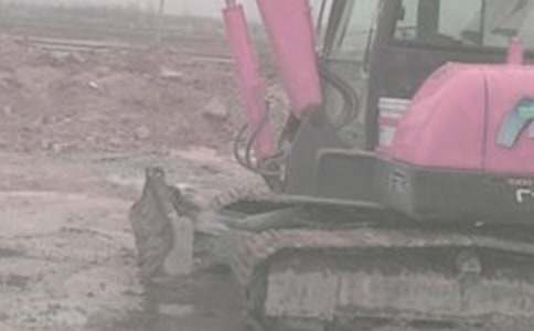 挖掘機(jī)合同