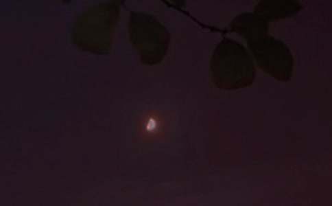 ��(j��ng)���ܰ�������Z(y��)��ͨ��200�䣩