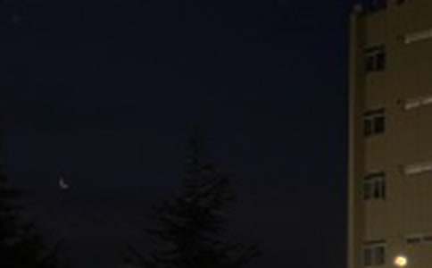 �����������Z�R��55��