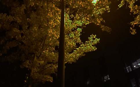 最新治愈晚安寄語匯總(精選120句)