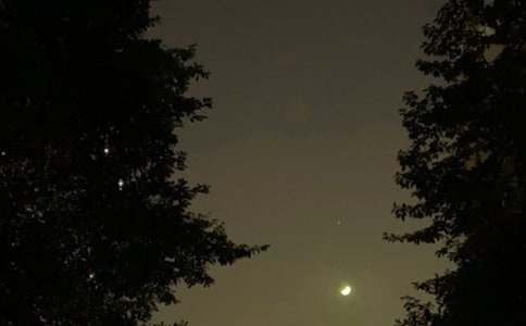 常用正能量晚安寄語(yǔ)110句