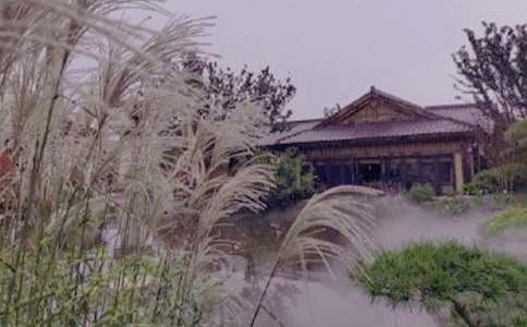 彌勒的溫泉作文400字