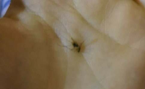 �^����������(4ƪ)