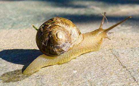 ΁ţ�Ī�(ji��ng)���̌W(xu��)��˼�R��