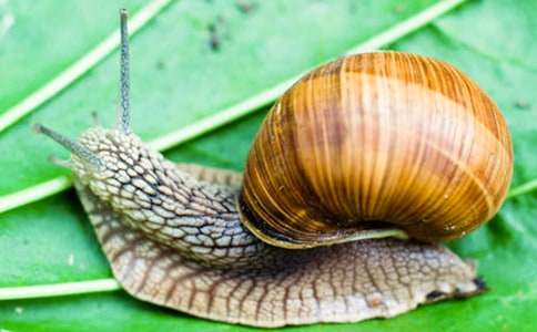 �茑�L(f��ng)�����΁ţ�����ģ����x20ƪ��