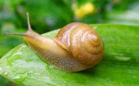 ΁ţ�������wͯԒ���ģ�ͨ��51ƪ��