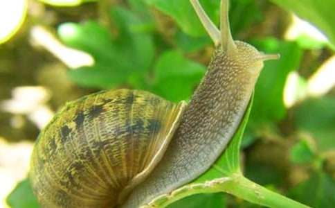 ΁ţ�ݎ�ͯԒ����