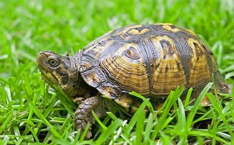 С��������������(����10ƪ)