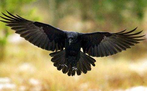 �����T(m��n)�����f�ı���ͯԒ(hu��)����