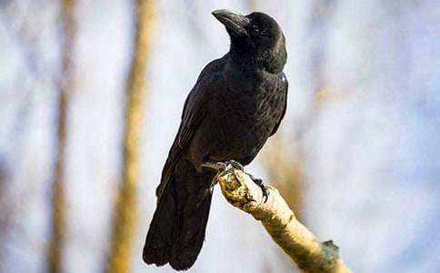 ���f���_������750�֣�ͨ��5ƪ��