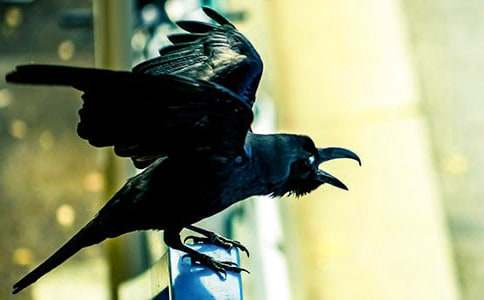 �ְ��Ǐ����f������