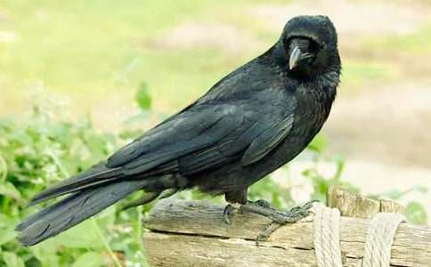 δ���Ğ��f��ˮ����