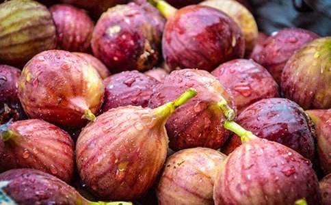 無(wú)花果800字作文