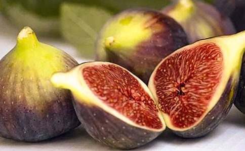 描寫無(wú)花果樹(shù)的作文