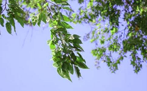 暖心午安祝福語大全(精選80句)