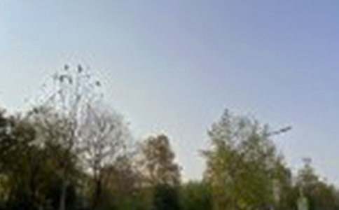 2020年治愈系午安心語(yǔ)合集67條