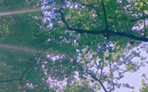 經典治愈午安寄語匯總(通用80句)