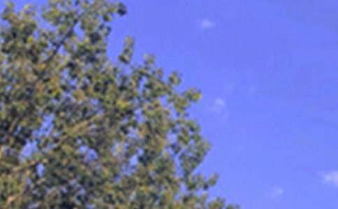 2021���ů���簲���Z48��