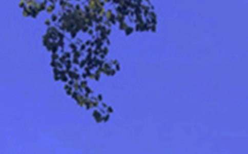 治愈系午安心語(yǔ)QQ42句