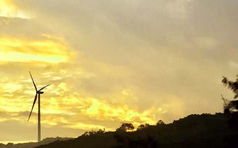 暖心午安問(wèn)候語(yǔ)100句