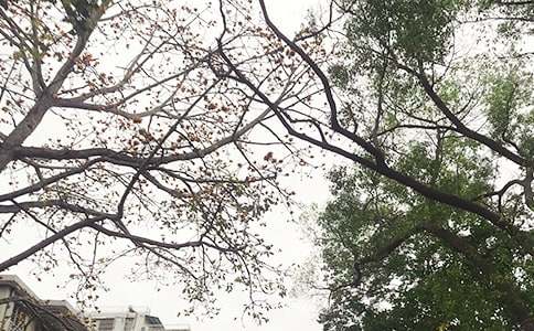 溫馨的午安心語35句