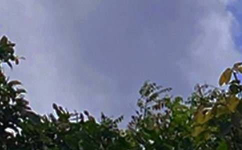 唯美午安寄語(通用100句)