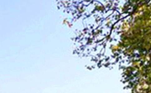 ��(j��ng)���簲���Z(y��)��ȫ�����x80�䣩