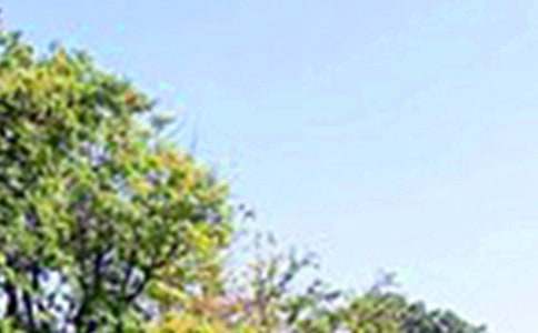 關(guān)于治愈午安寄語大全90句精選