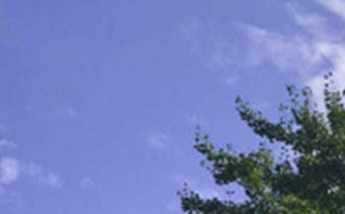 2020年美好的午安心語微信大集合82條