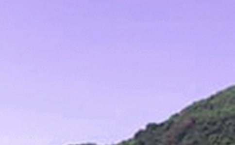 午安寄語(yǔ)匯總(精選90句)