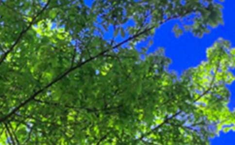 午安心語短信摘錄30句