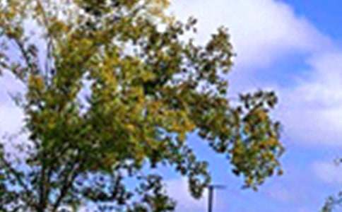 溫馨午安寄語大全60句