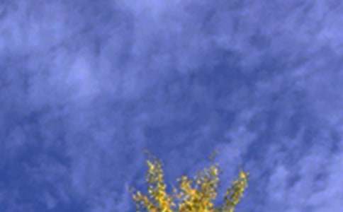 優(yōu)美的午安心語QQ90句